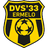 DVS 33